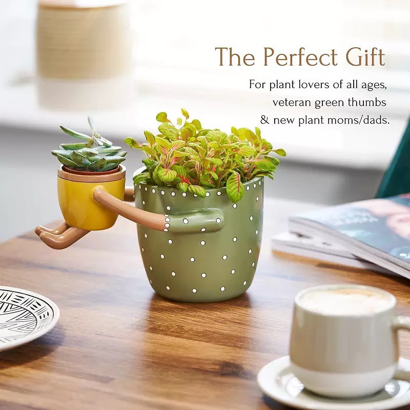 Maceta de Resina para Padres e - Plant Parent Pot reseña y precio